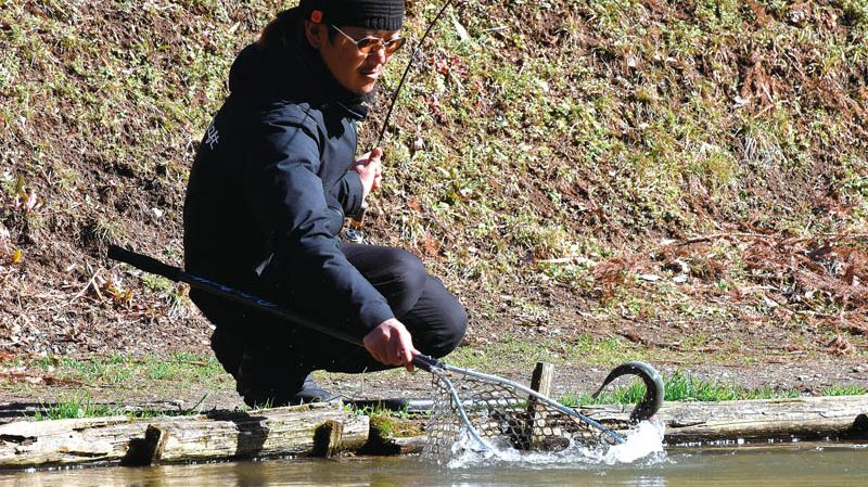 エリアトラウトの基本】ルアー・ライン・タックルを名手・松本幸雄さんに教わる！ | 魚種別釣りガイド